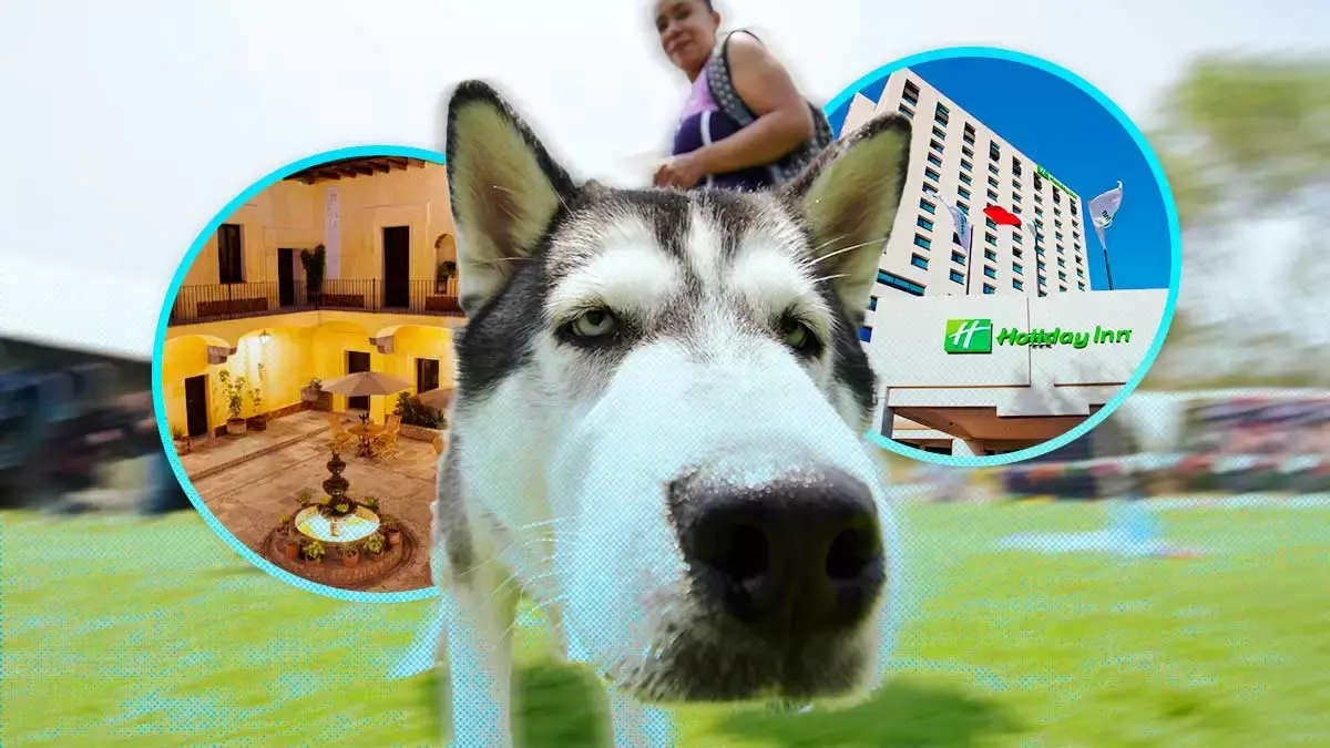 Hoteles pet friendly en Puebla