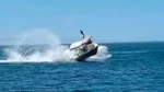 Bote choca con ballena en BCS.
