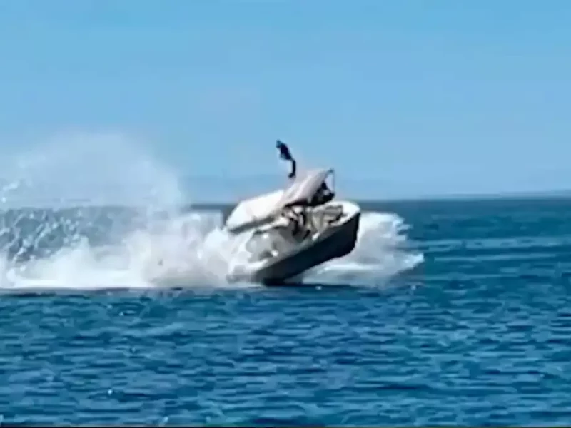 Bote choca con ballena en BCS.
