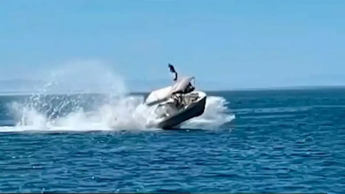 Bote choca con ballena en BCS.