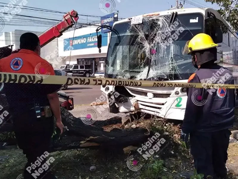 Accidentes en Puebla.