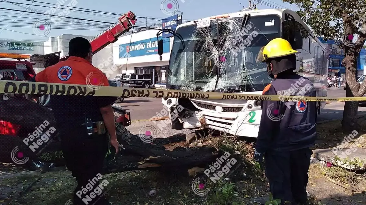 Accidentes en Puebla.