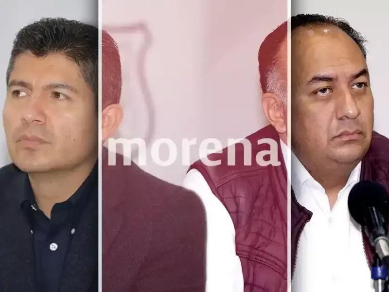 Denuncias por Revocación de Mandato.