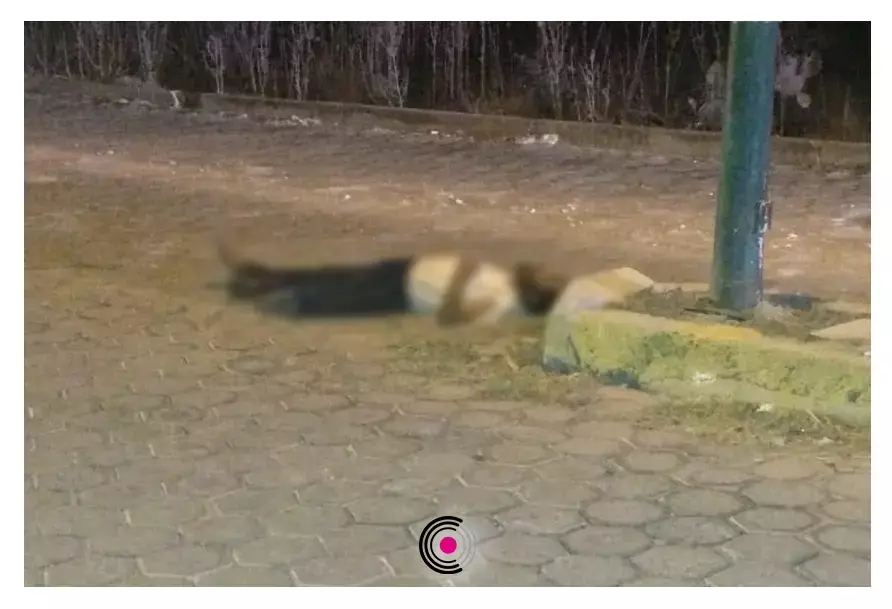 Una de las víctimas fue encontrada en el barrio de La Villita.
