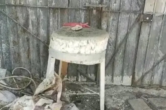 Dos hombres mataban perros para vender su carne