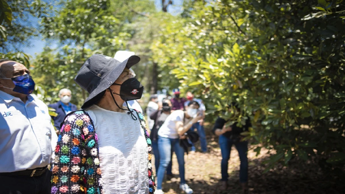 Facultad Ciencias Agrícolas Pecuarias