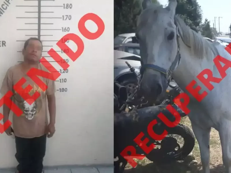 Se robó un caballo en Zerezotla, San Pedro Cholula.