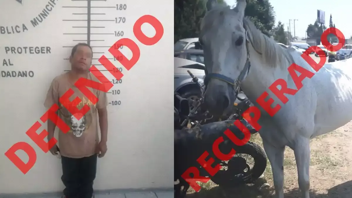 Se robó un caballo en Zerezotla, San Pedro Cholula.