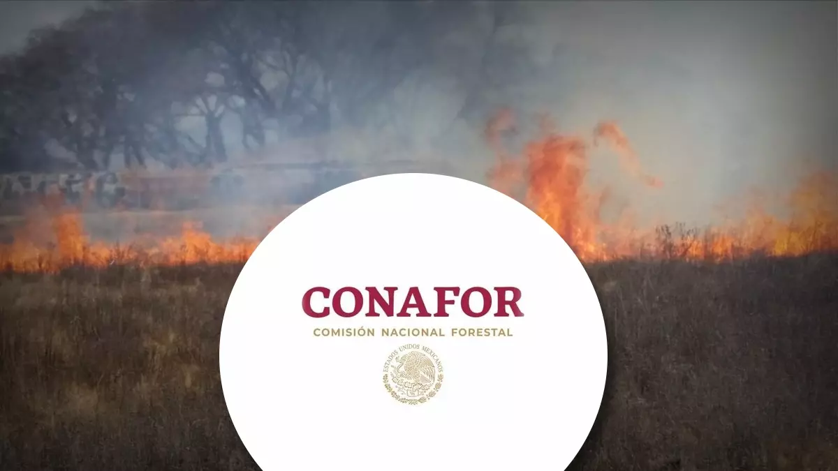 Director de Conafor herido en incendio.