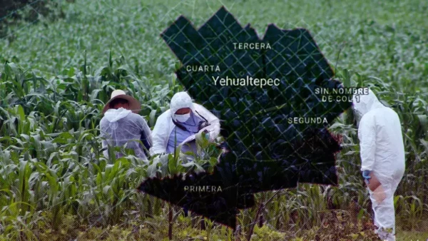 Encuentran el cadáver de un hombre en Yehualtepec