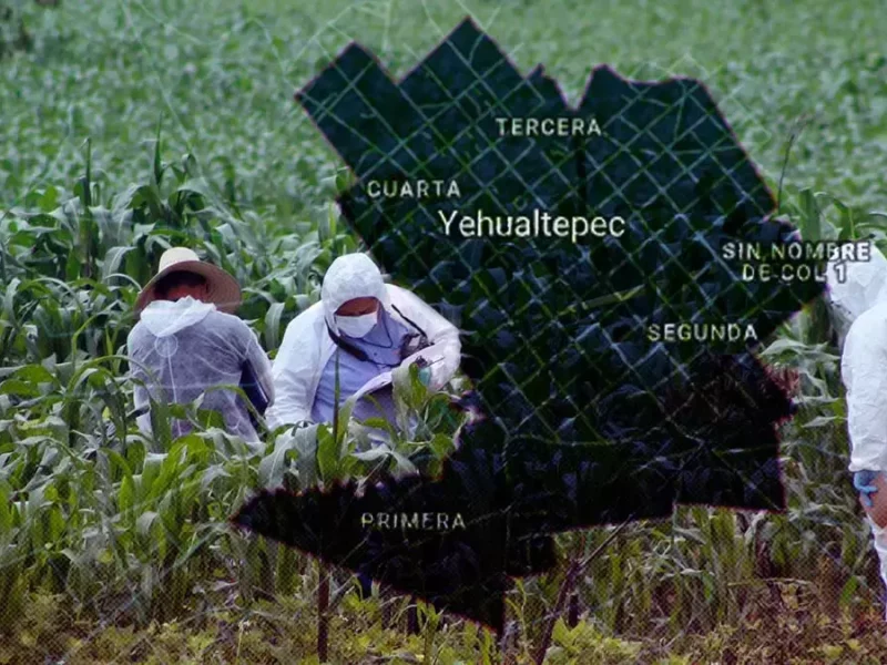 Encuentran el cadáver de un hombre en Yehualtepec