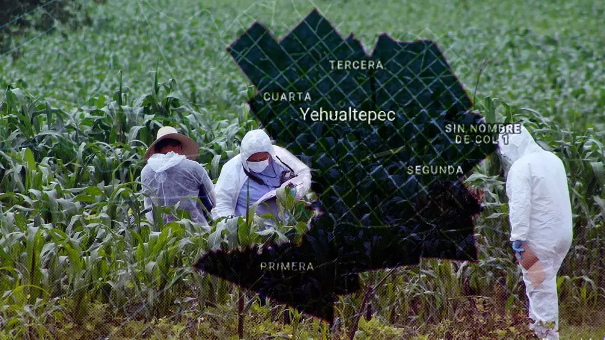 Encuentran el cadáver de un hombre en Yehualtepec