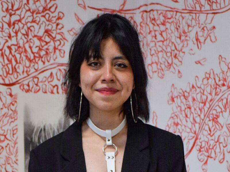Estudiante de la UDLAP inaugura exposición en Casa de Cultura Tlanezcalli