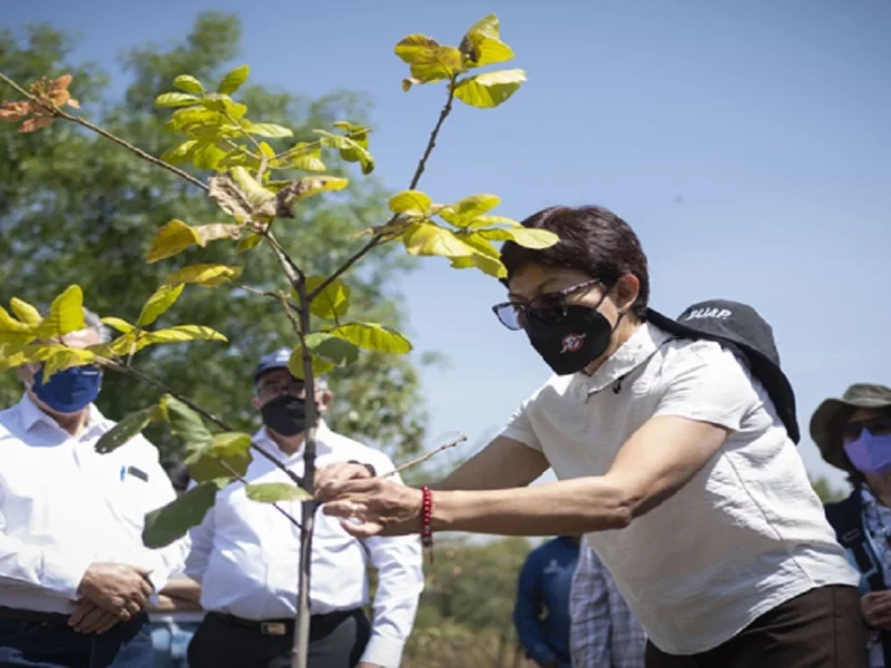 35 años del Jardín Botánico Universitario.