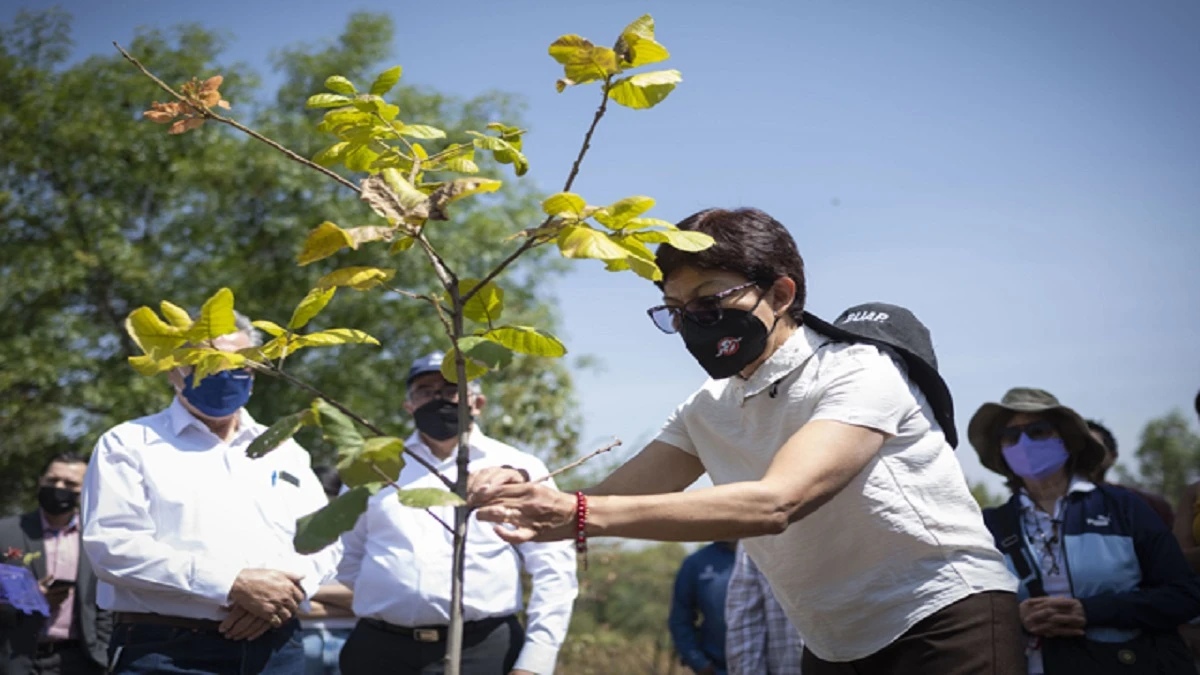 35 años del Jardín Botánico Universitario.