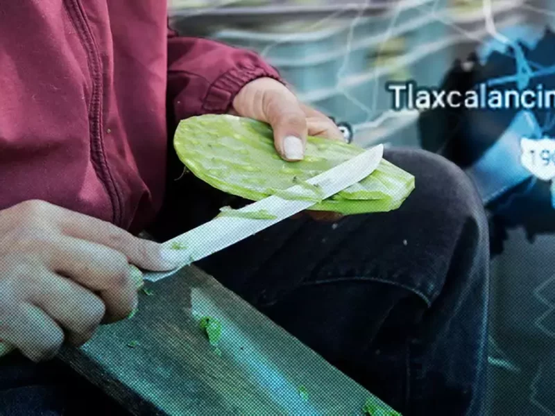 Feria del Nopal en Tlaxcalancingo.