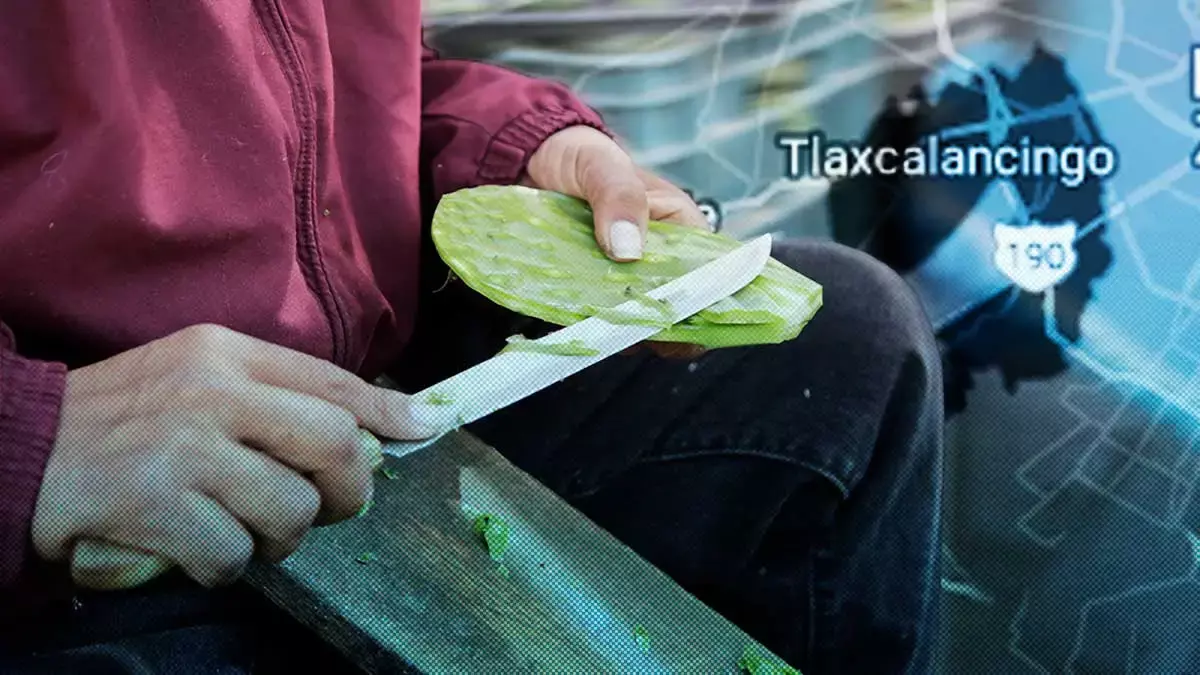 Feria del Nopal en Tlaxcalancingo.
