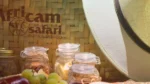 Picnic y drinks en Africam Safari.