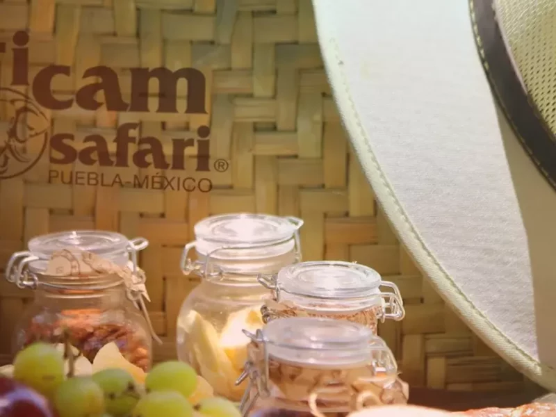 Picnic y drinks en Africam Safari.
