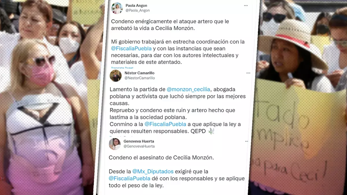 Políticos piden justicia para Cecilia Monzón