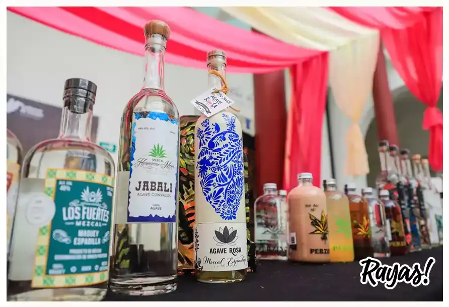 Productores de mezcal en Puebla.