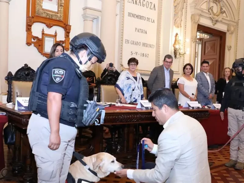 Se jubilan con honores 16 perros policía que sirvieron fielmente por más de siete años