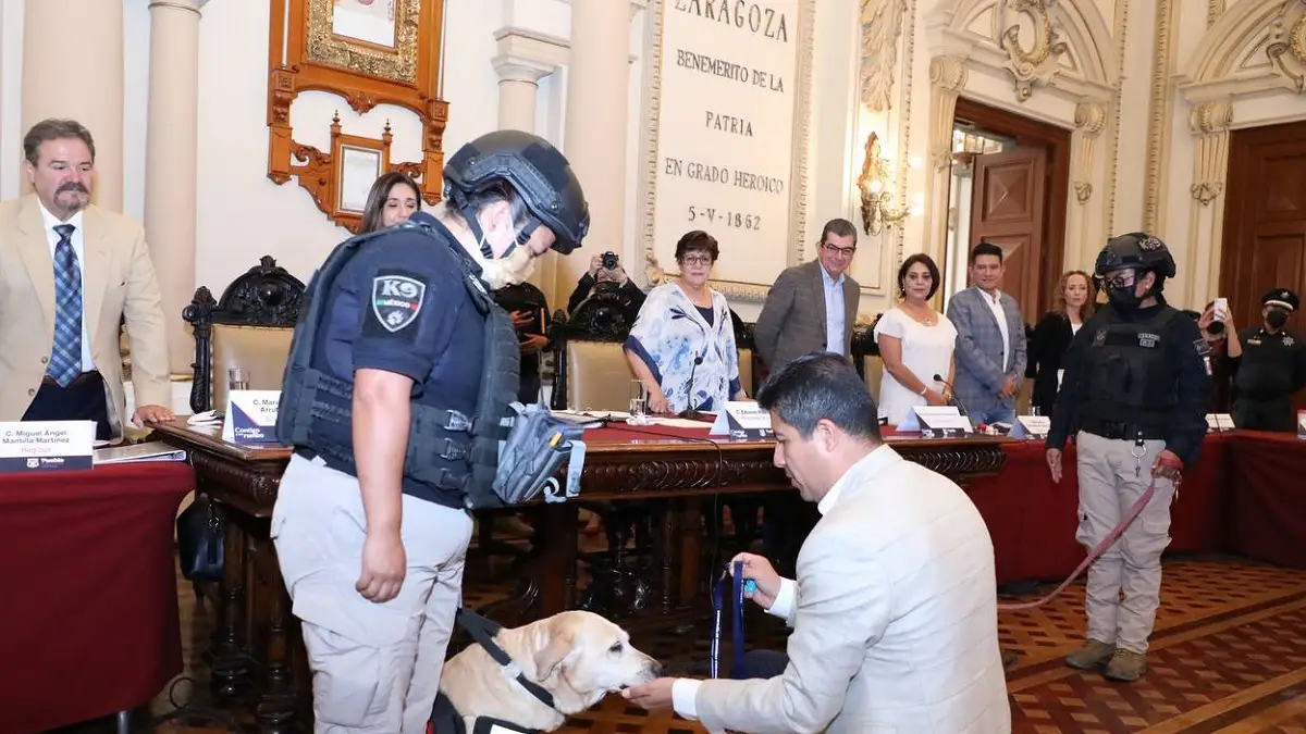 Se jubilan con honores 16 perros policía que sirvieron fielmente por más de siete años