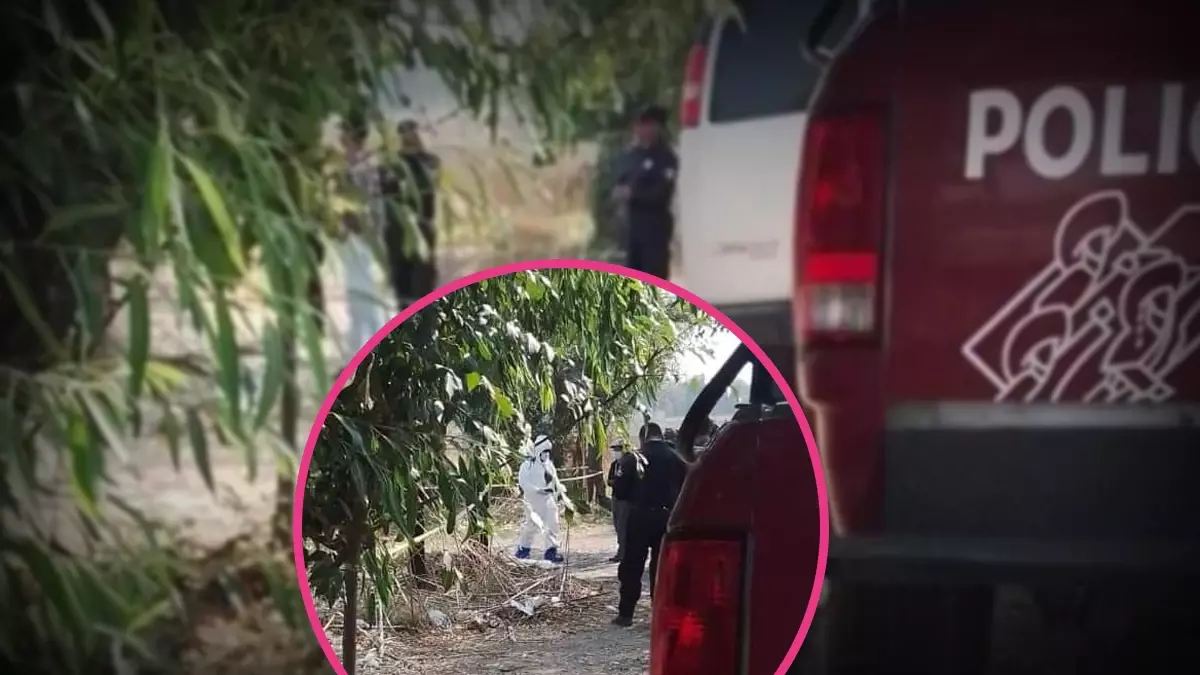 Hallan cadáver en Misiones de San Francisco.