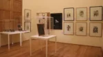 Exposición en el Museo Regional de Cholula.