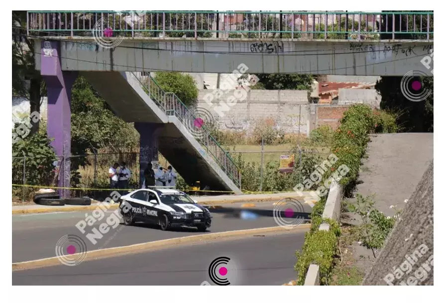 La mujer se lanzó de una altura de 10 metros.