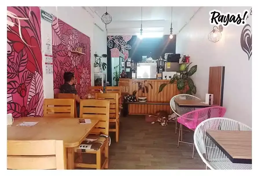 ‘Tú y Yo’ Puebla, vive aquí la verdadera experiencia cafetera
