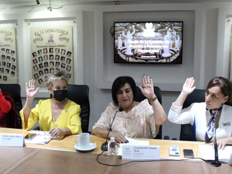 Aprueban en Comisión del Congreso Iniciativa para evitar que niegue el acceso a establecimientos a personas con discapacidad sensorial, acompañadas de perros de asistencia