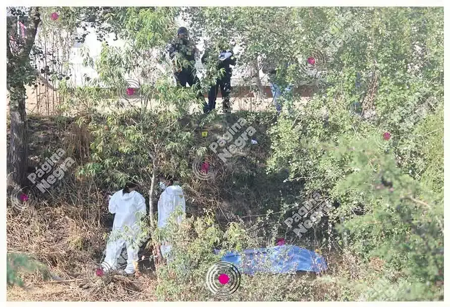 Asesinan a una mujer en Aparicio.