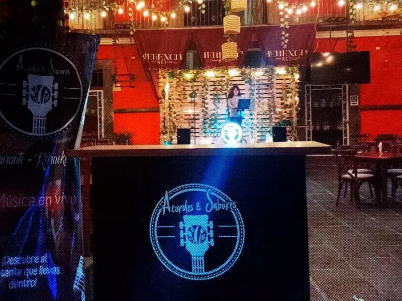“Acordes y Sabores” dona parte de sus ganancias al rescate de gatitos en Puebla