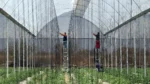 Productores agropecuarios de Puebla.