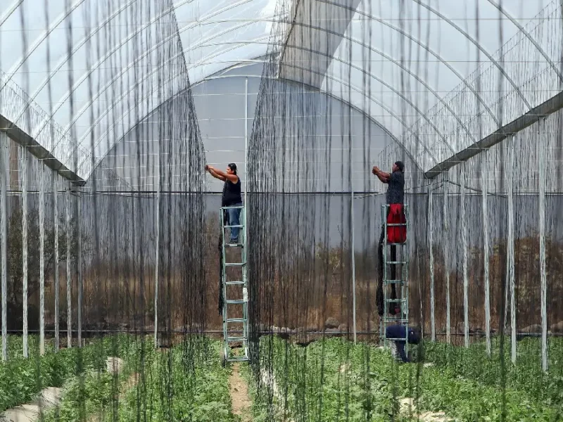 Productores agropecuarios de Puebla.