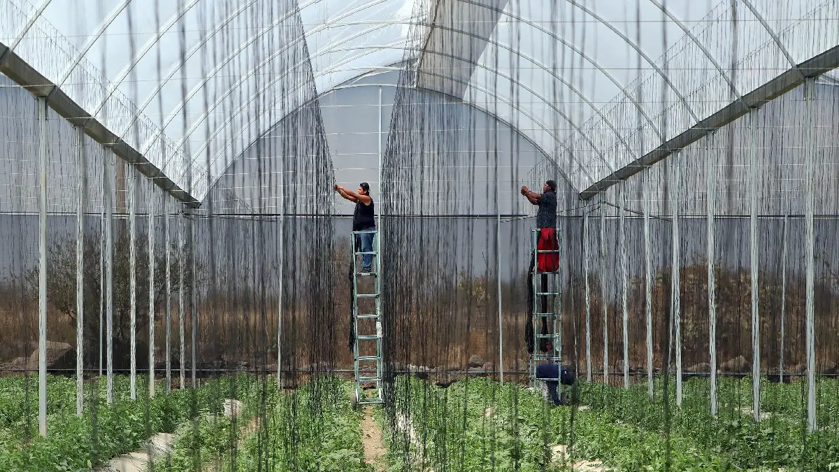 Productores agropecuarios de Puebla.