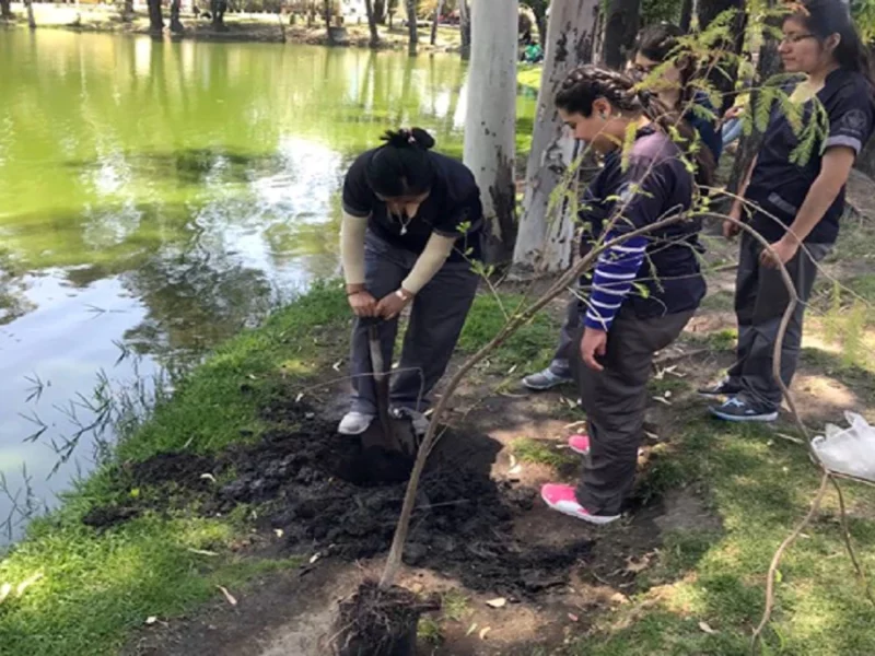 Reforestación BUAP.