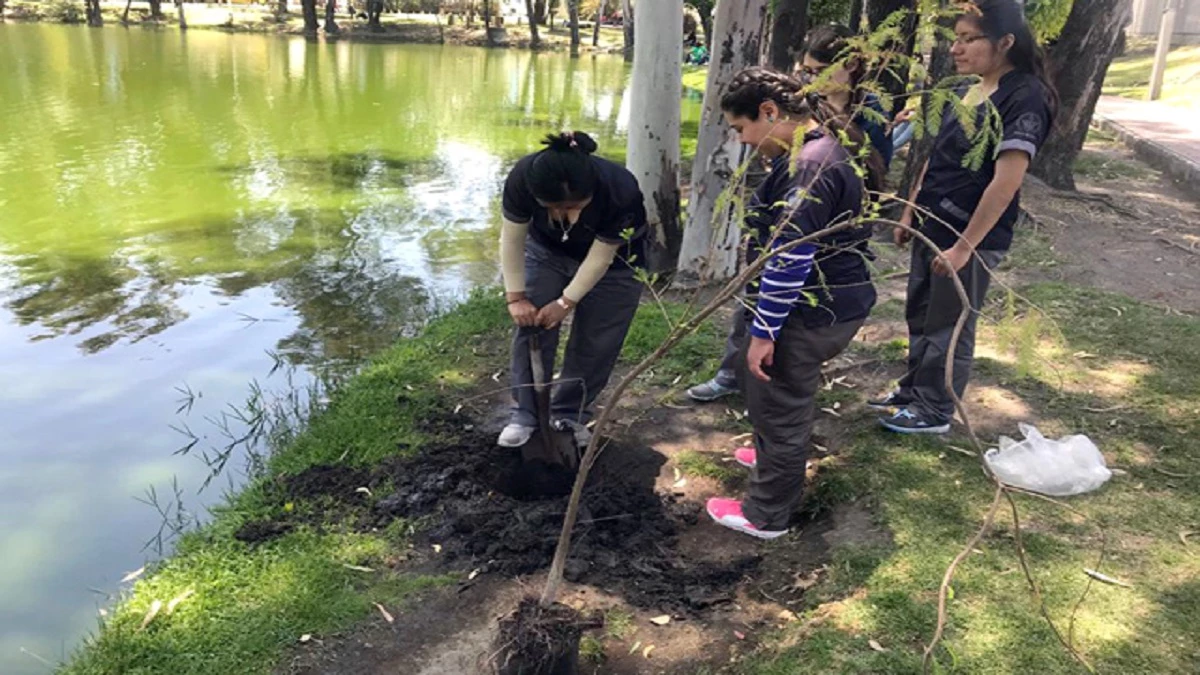Reforestación BUAP.