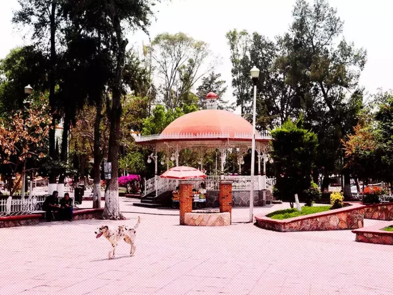 San Francisco Totimehuacan, Puebla.