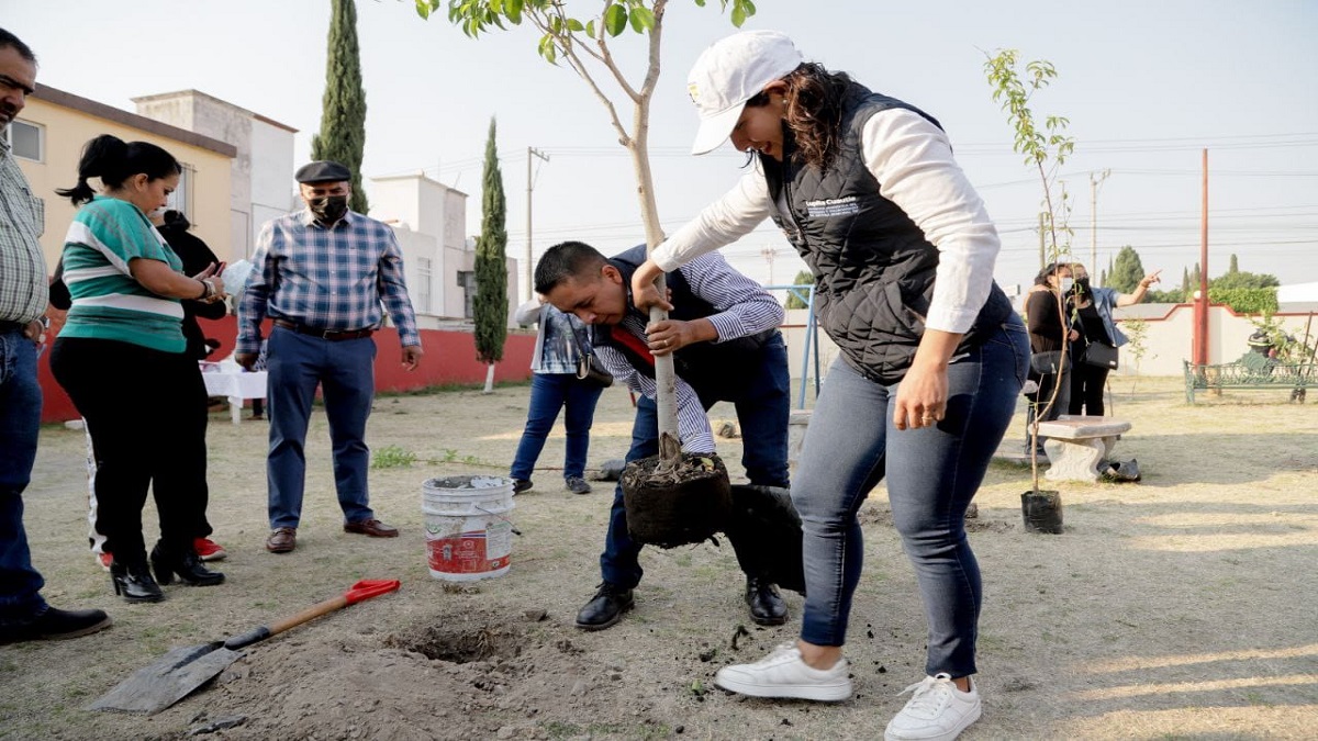 Lleva Ayuntamiento de San Andrés Cholula Jornada de Reforestación a la Colonia Emiliano Zapata