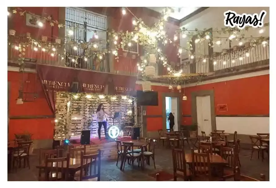 “Acordes y Sabores” dona parte de sus ganancias al rescate de gatitos en Puebla