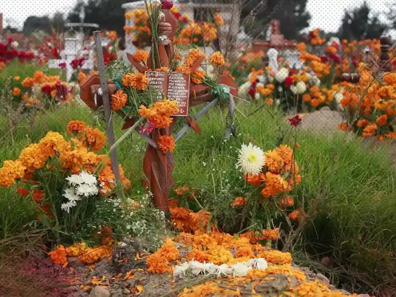 San Francisco Totimehuacan podría tener nuevo panteón.