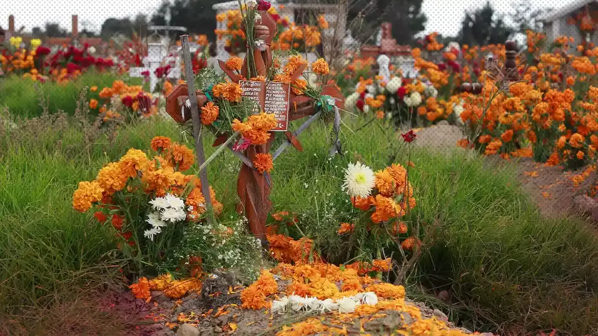 San Francisco Totimehuacan podría tener nuevo panteón.