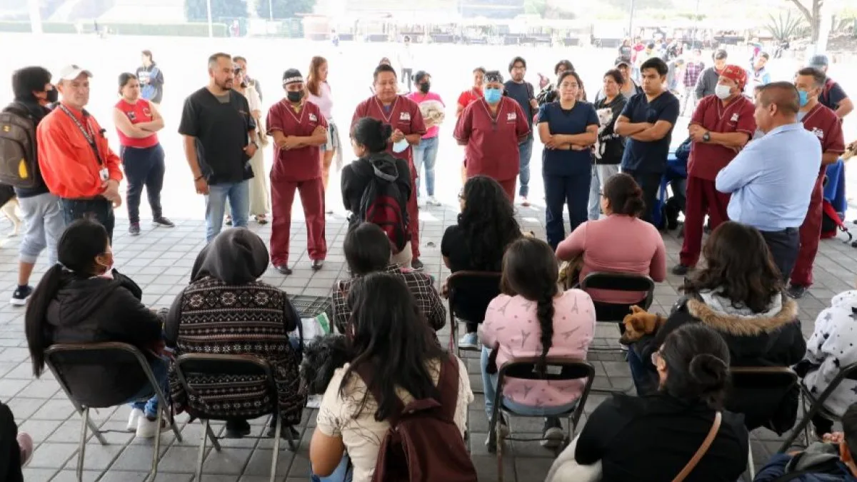 Con jornada de Bienestar Animal, el Gobierno de Cholula otorga servicios a favor de la salud.