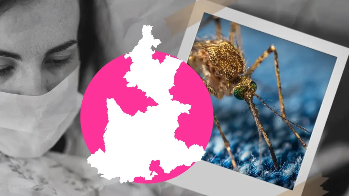 Aumentan casos de dengue en Puebla; es séptimo lugar nacional 