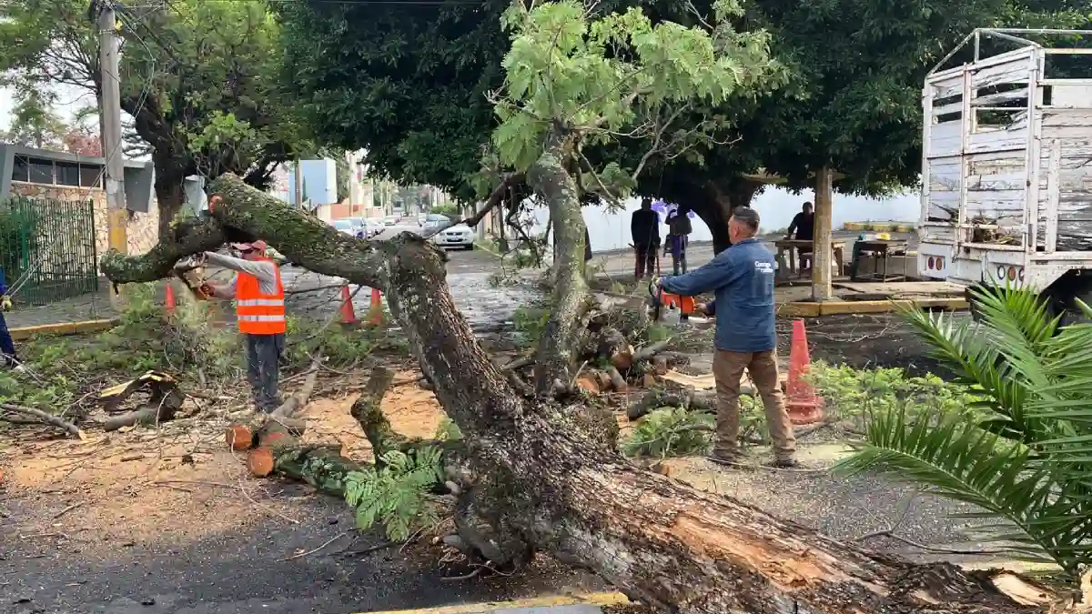 Ayuntamiento de Puebla atiende oportunamente reportes por lluvia