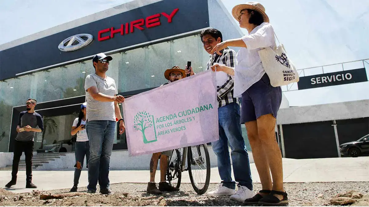 Activistas se manifiestan contra la tala de árboles y podas irregulares en Puebla
