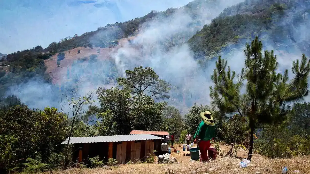 Suman 700 hectáreas afectadas por incendio forestal en Zacatlán
