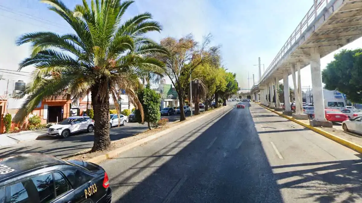 Suspenden a funcionarios municipales por tala de árboles en boulevard Hermanos Serdán.